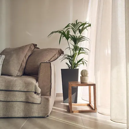 Willa Aguacate Glafki With Heated Private Swimming Pool Tsilivi (Zakynthos)